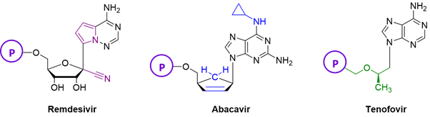 Example of nucleotide prodrugs