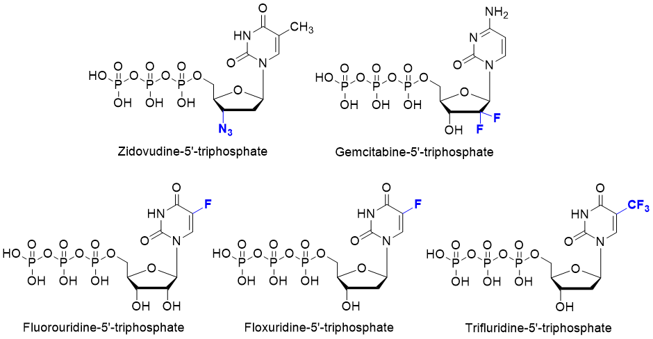 Commonly known pyrimidine nucleotide analogues with antibiotic activity.