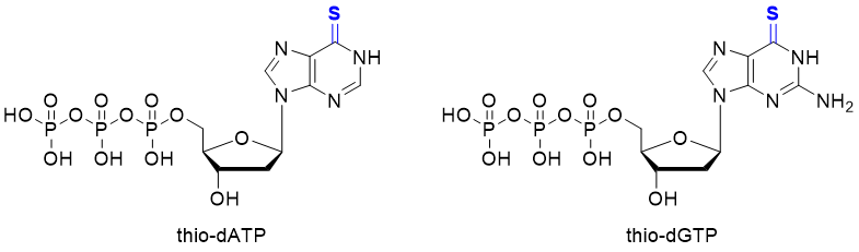 Structures of thio-dATP and thio-dGTP.