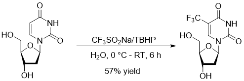 Figure 5: Preparation of trifluridine by trifluormethylation with Langlois reagent in aqueous solution.