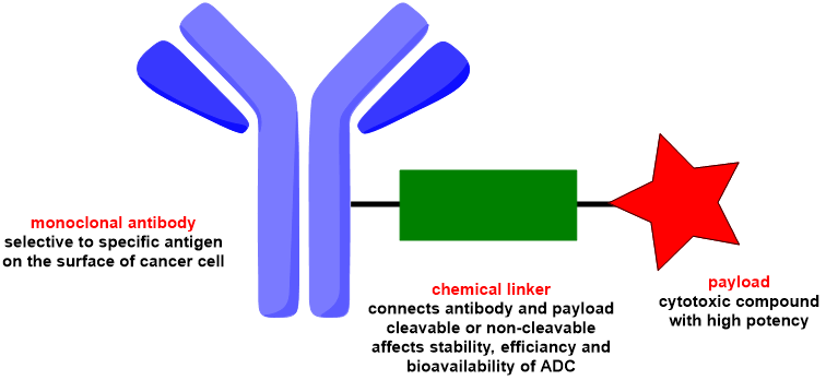 Schematic representation of antibody-drug conjugate (ADC)