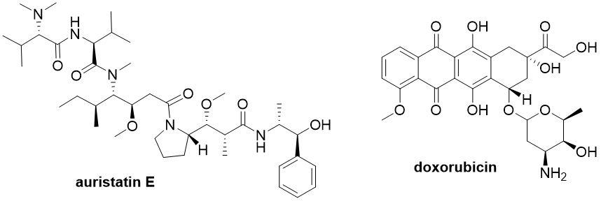 Structures of microtubule disruptor auristatin E and DNA damaging agent doxorubicin