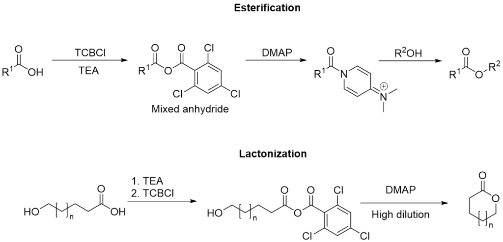 Figure 3: The Yamaguchi esterification and macrolactonization reactions.