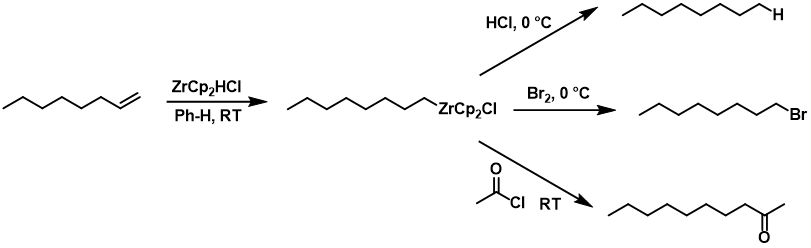 Applications of organozirconium species obtained by hydrozirconation of alkenes