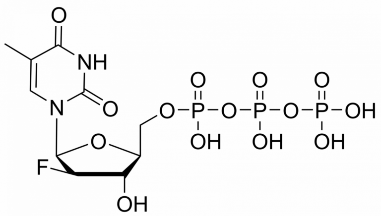 Main product photo - Clevudine triphosphate – CAS 174625-00-4