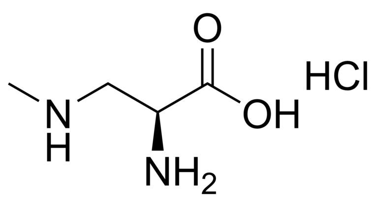 Main product photo - L-BMAA hydrochloride- CAS 16012-55-8