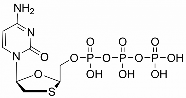 Main product photo - Lamivudine triphosphate – CAS 143188-53-8