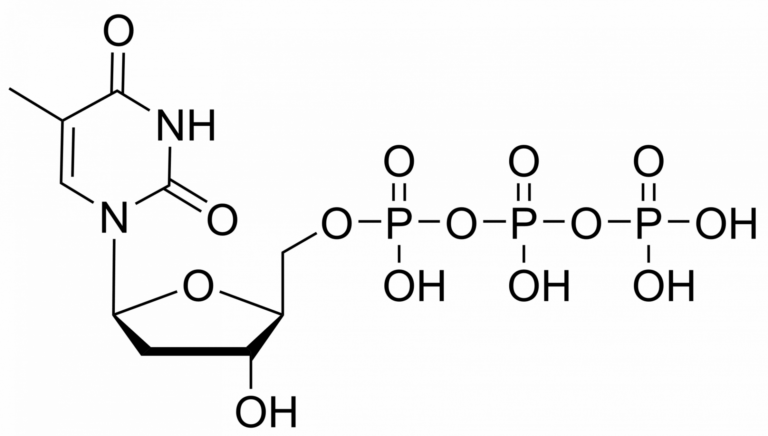 Main product photo - Telbivudine triphosphate – CAS 152502-95-9