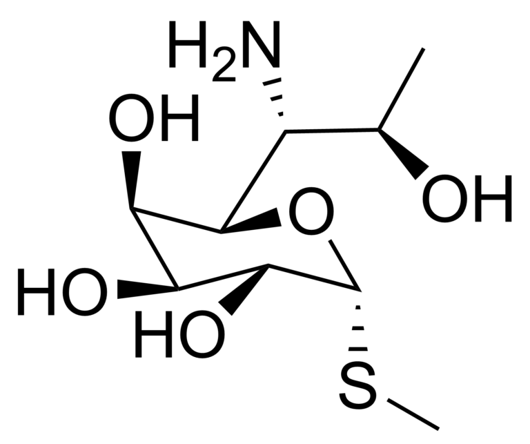 Main product photo - Methyl 1-thiolincosaminide –  CAS 14810-93-6