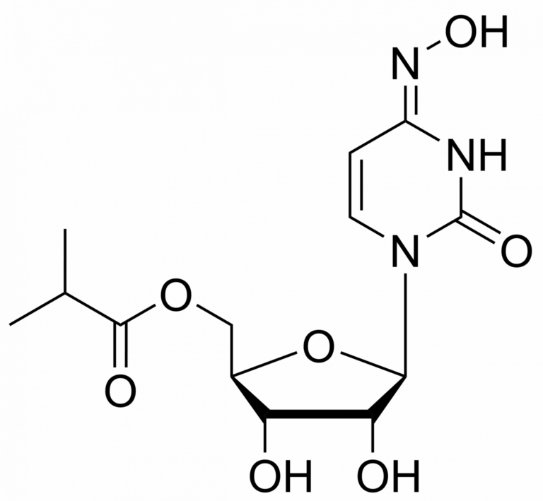 Main product photo - Molnupiravir – CAS 2349386-89-4