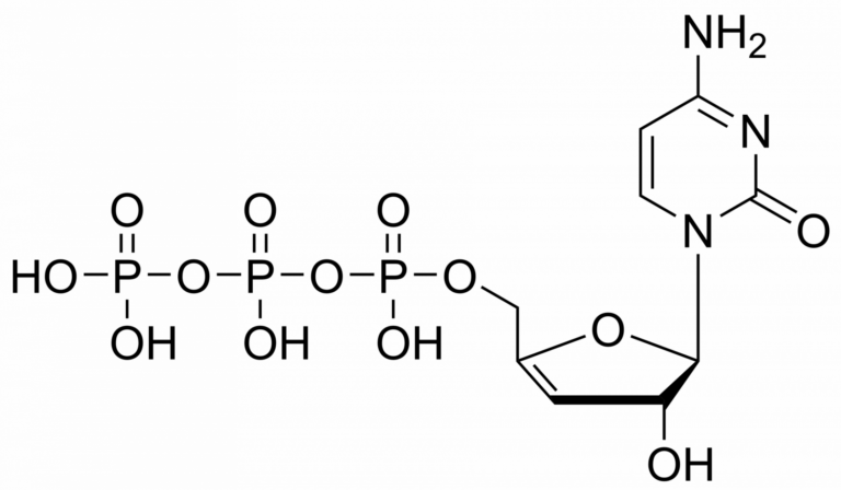 Main product photo - 3′,4′-Didehydro-3′-deoxycytidine triphosphate – CAS 2279171-34-3