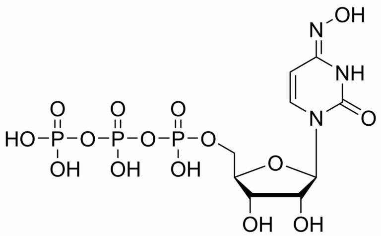 Main product photo - N4-Hydroxycytidine triphosphate – CAS 34973-27-8