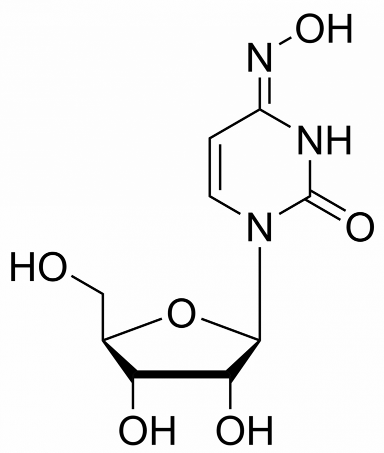 Main product photo - N4-Hydroxycytidine – CAS 3258-02-4