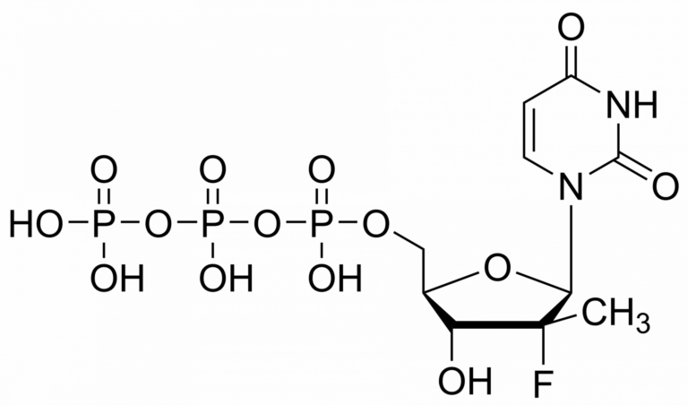 Main product photo - PSI-7409 – CAS 1015073-42-3