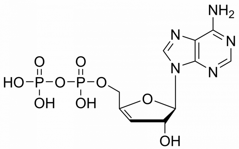 Main product photo - 3′,4′-Didehydro-3′-deoxyadenosine diphosphate– CAS 2761971-64-4