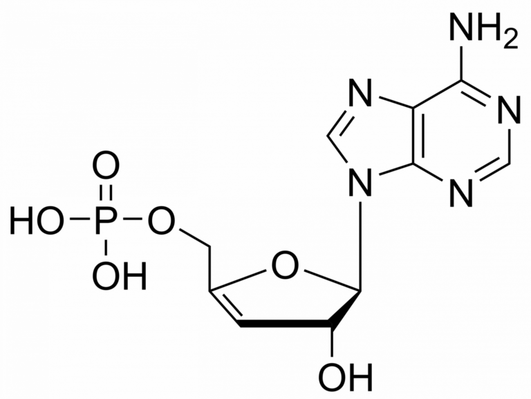 Main product photo - 3′,4′-Didehydro-3′-deoxyadenosine monophosphate – CAS 2761971-63-3