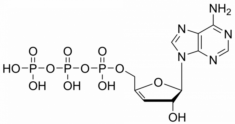 Main product photo - 3′,4′-Didehydro-3′-deoxyadenosine triphosphate– CAS 2761971-65-5