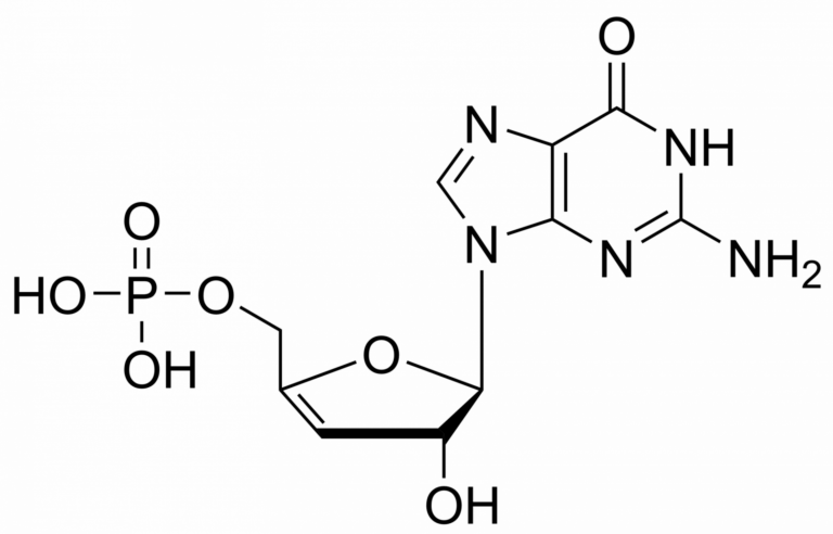 Main product photo - 3′,4′-Didehydro-3′-deoxyguanosine monophosphate – CAS 2499590-50-8