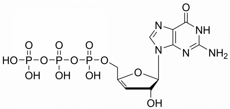 Main product photo - 3′,4′-Didehydro-3′-deoxyguanosine triphosphate – CAS 2499590-39-3