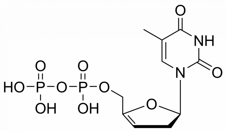 Main product photo - 3′,4′-Didehydro-3′-deoxythymidinediphosphate