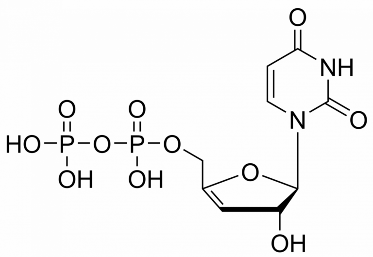 Main product photo - 3′,4′-Didehydro-3′-deoxyuridine diphosphate – CAS 2499590-41-7