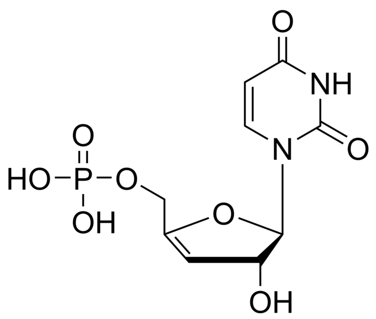 Main product photo - 3′,4′-Didehydro-3′-deoxyuridine monophosphate – CAS 2499590-42-8