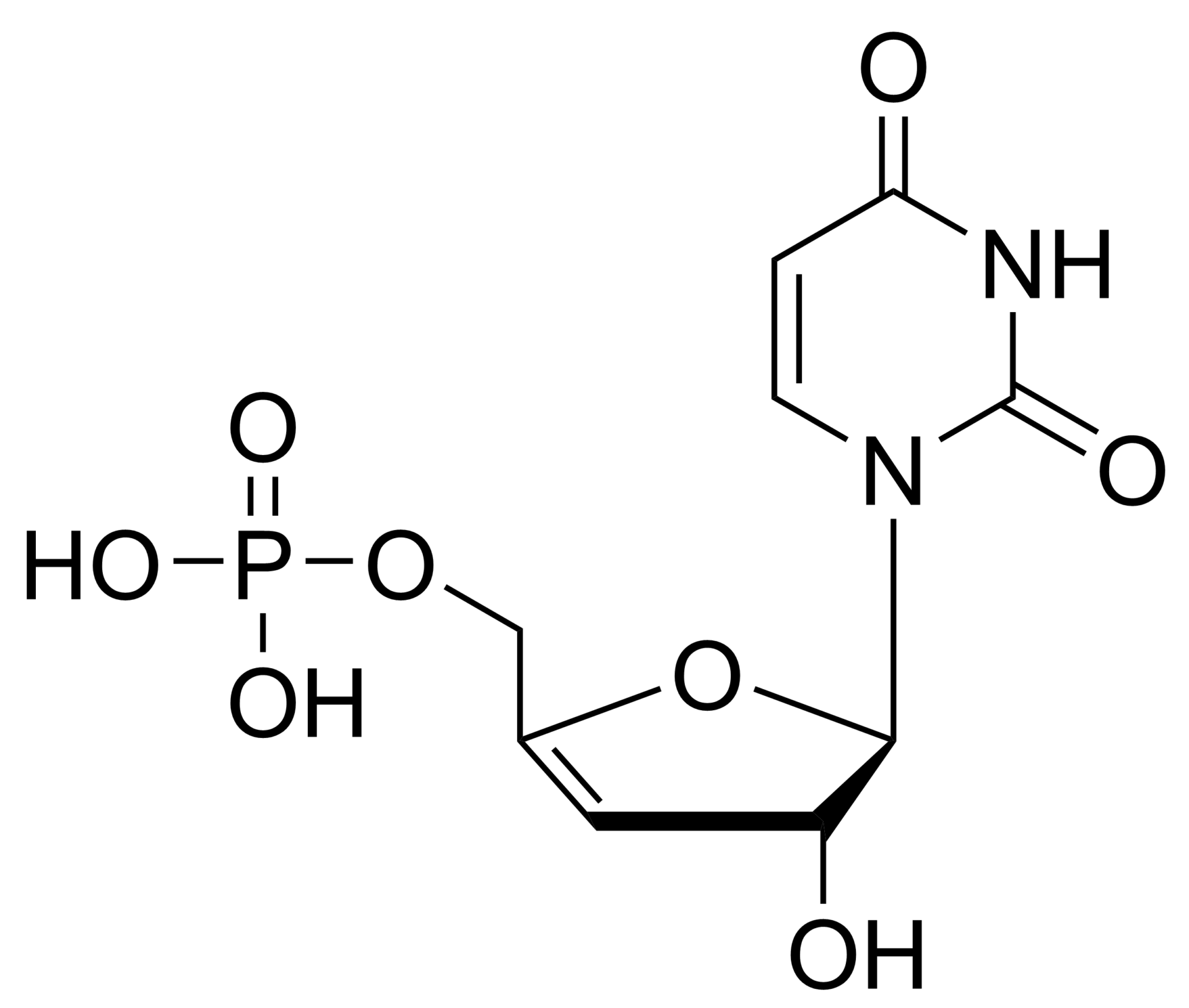 3′,4′-Didehydro-3′-deoxyuridine monophosphate – CAS 2499590-42-8