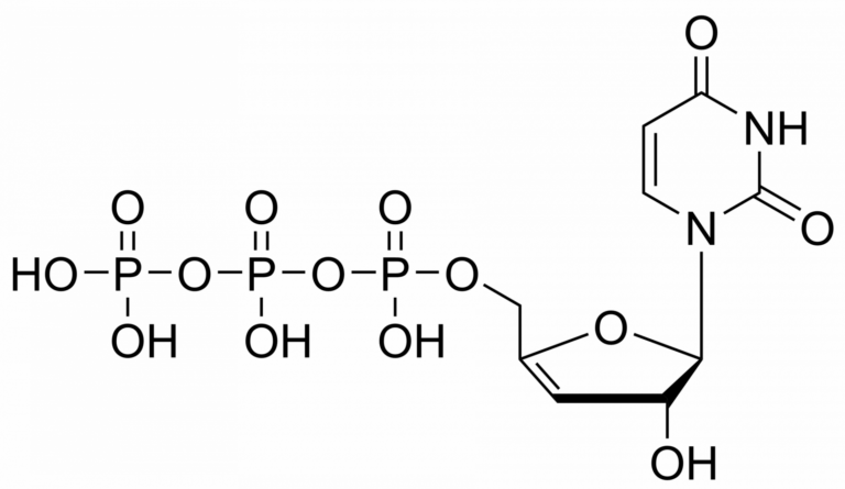 Main product photo - 3′,4′-Didehydro-3′-deoxyuridine triphosphate – CAS 2499590-38-2