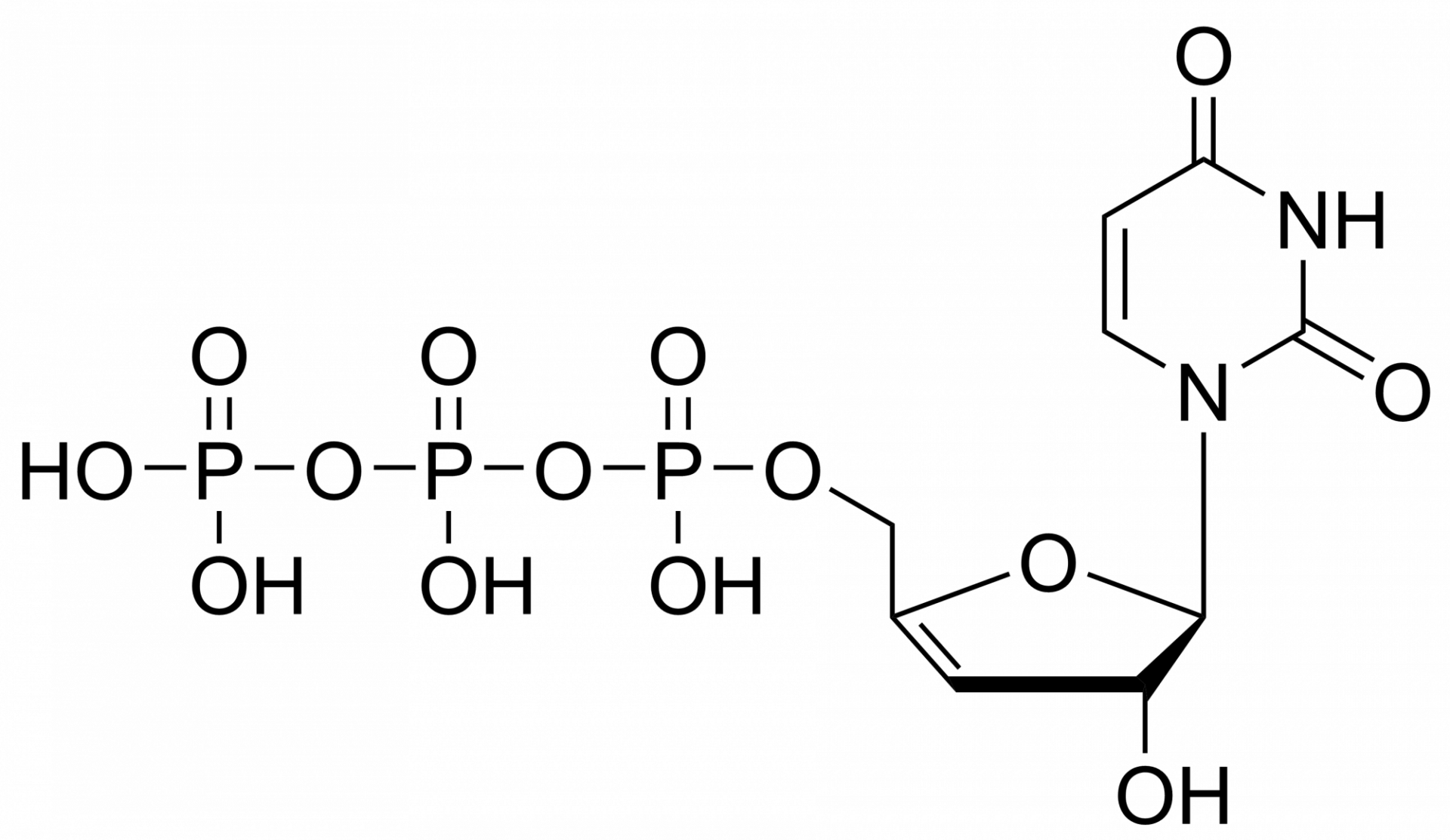 3′,4′-Didehydro-3′-deoxyuridine triphosphate – CAS 2499590-38-2
