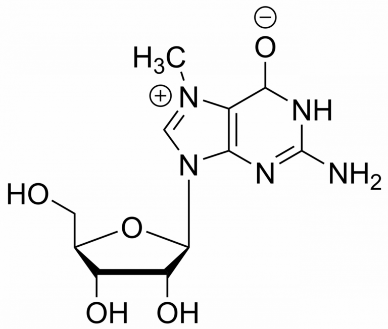 Main product photo - 7-Methylguanosine – CAS 20244-86-4