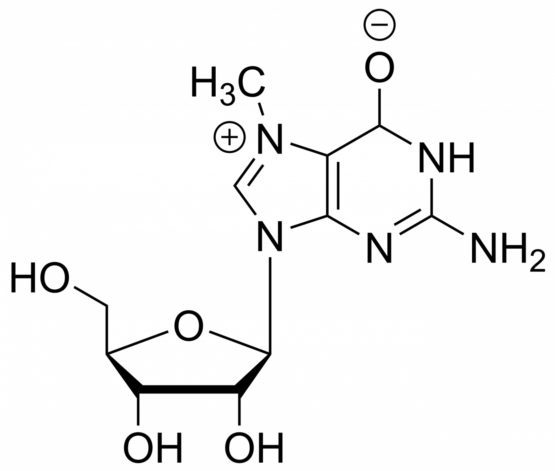 7-Methylguanosine – CAS 20244-86-4