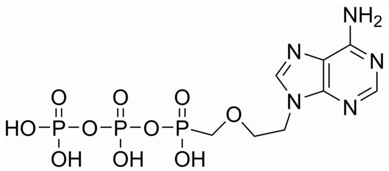 Main product photo - Adefovir diphosphate – CAS 129532-77-0