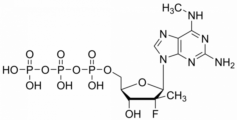 Main product photo - Bemnifosbuvir triphosphate – CAS 2573174-02-2