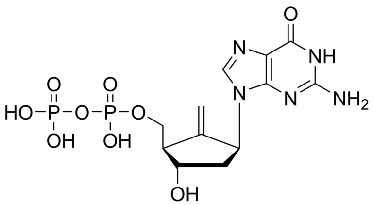 Main product photo - Entecavir diphosphate – CAS 1348548-74-2