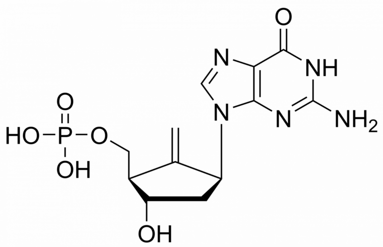 Main product photo - Entecavir monophosphate – CAS 1103994-53-1