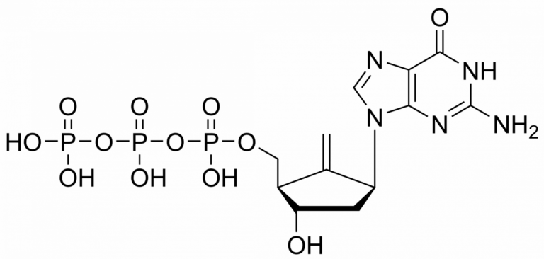 Main product photo - Entecavir triphosphate – CAS 336608-44-7