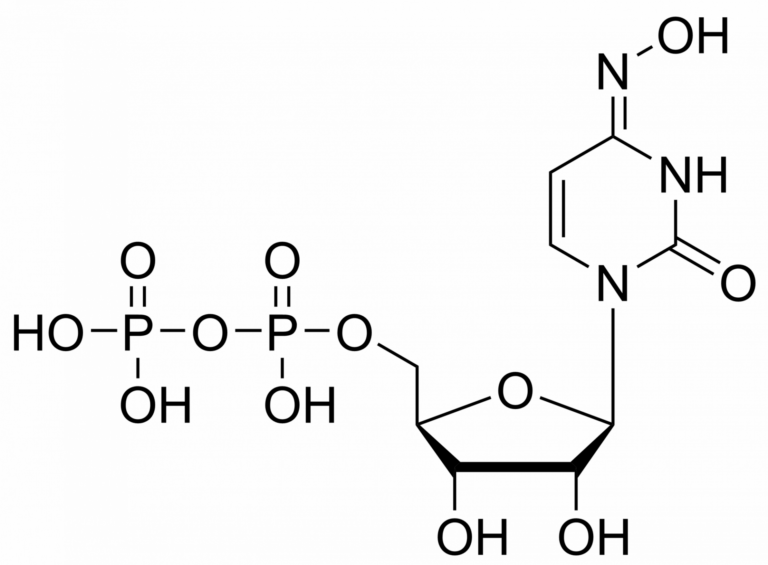 Main product photo - N4-Hydroxycytidine diphosphate – CAS 39023-73-9