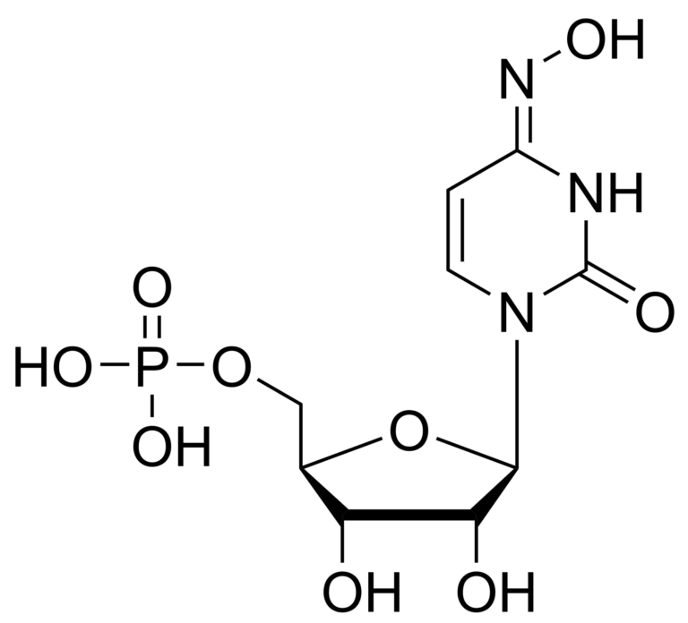 Main product photo - N4-Hydroxycytidine monophosphate – CAS 4988-54-9