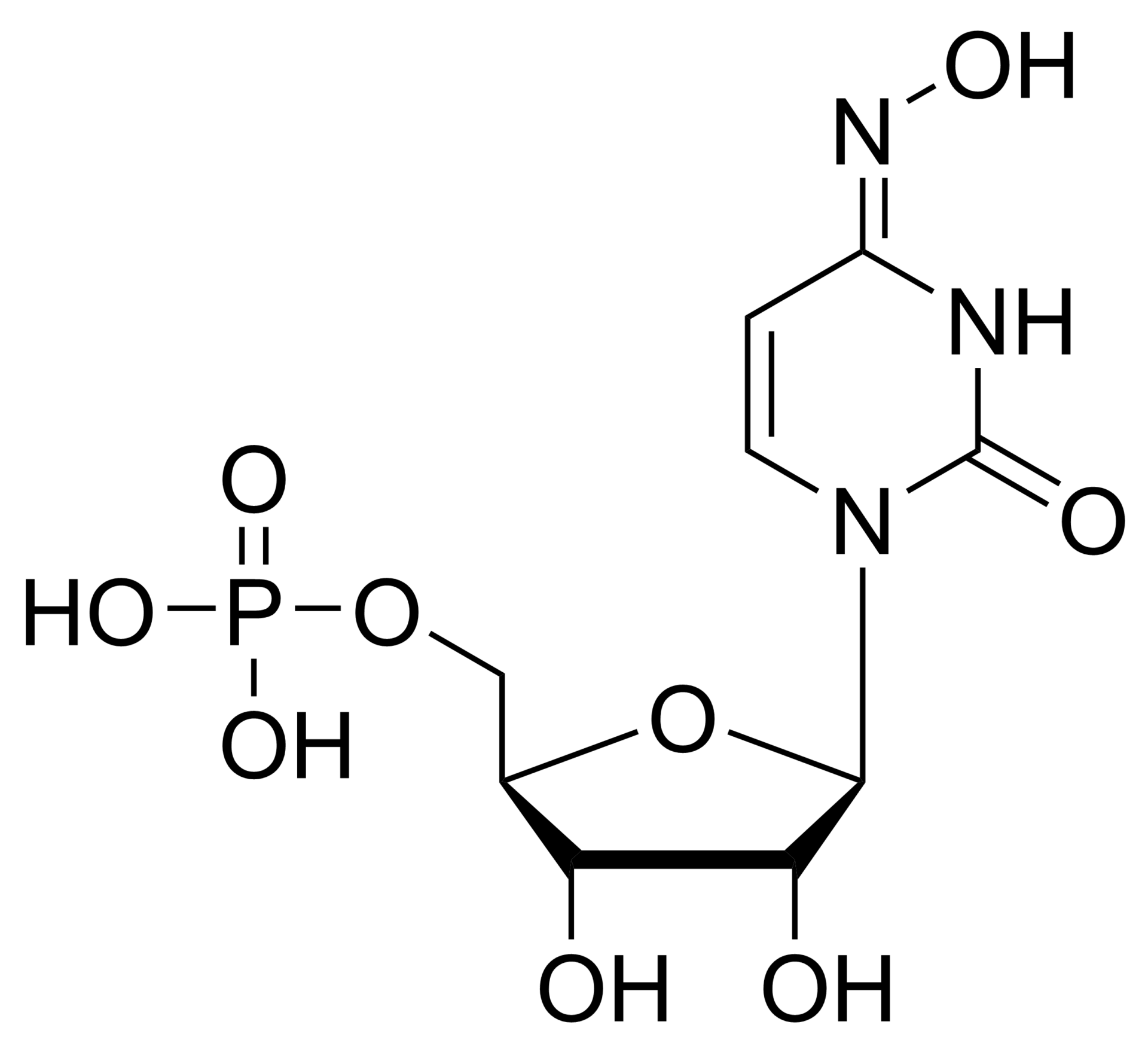 N4-Hydroxycytidine monophosphate – CAS 4988-54-9