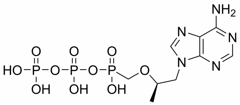 Main product photo - Tenofovir diphosphate – CAS 166403-66-3