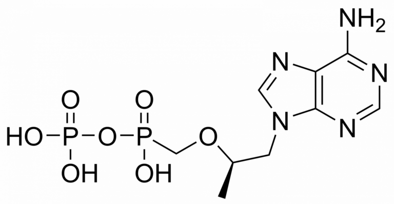 Main product photo - Tenofovir monophosphate – CAS 206646-04-0