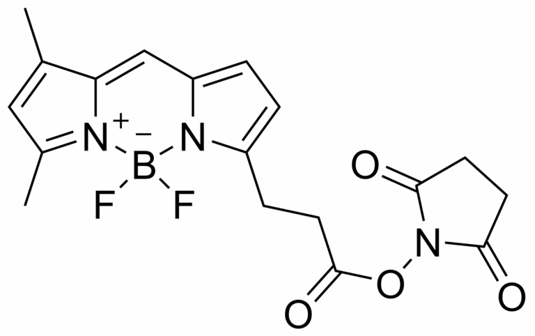 Main product photo - BDP FL NHS ester – CAS 146616-66-2