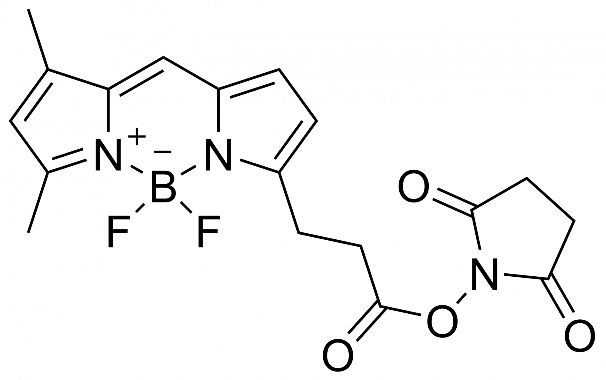 BDP FL NHS ester – CAS 146616-66-2