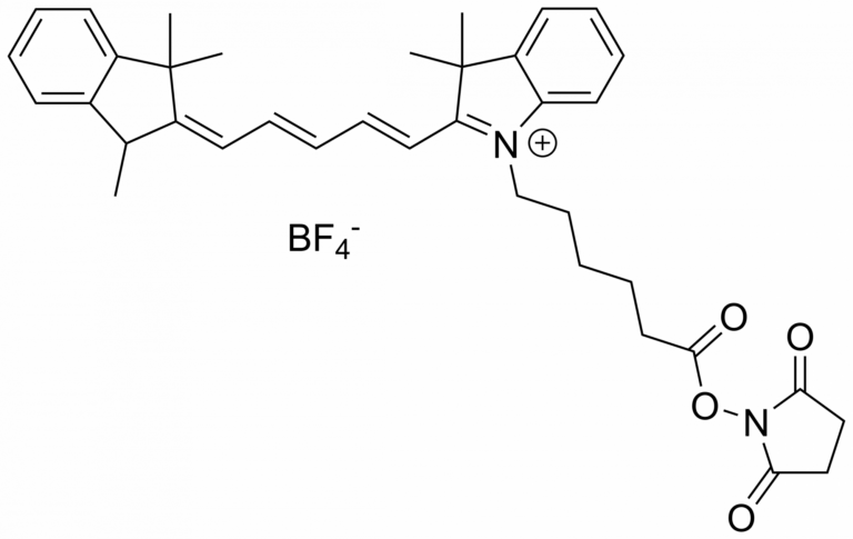 Main product photo - Cyanine5 NHS ester – CAS 1263093-76-0