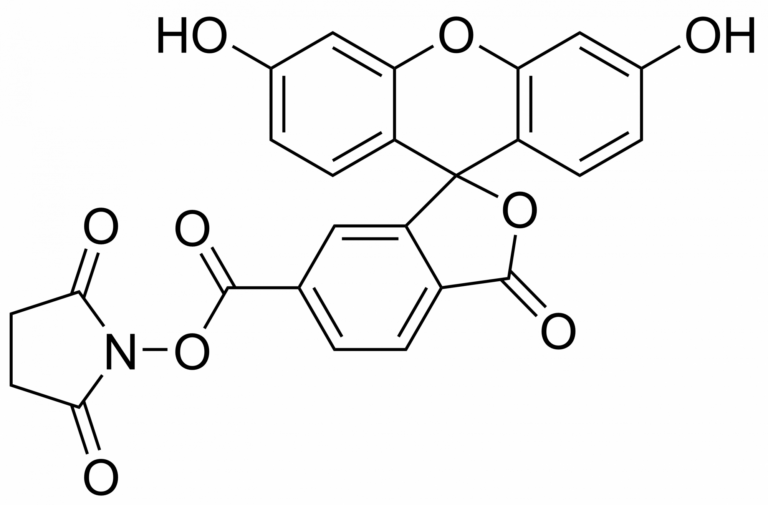 Main product photo - BDP FL maleimide – CAS 773859-49-7