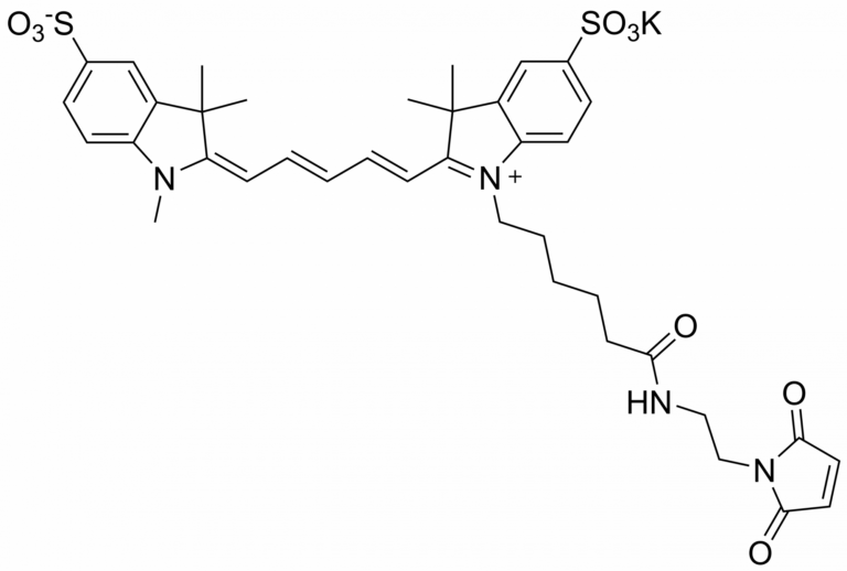 Main product photo - Sulfo-Cyanine5 maleimide – CAS 2242791-82-6