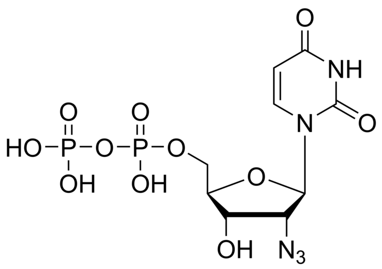 Main product photo - 2′-Azido-2′-deoxyuridine diphosphate – CAS 36792-49-1