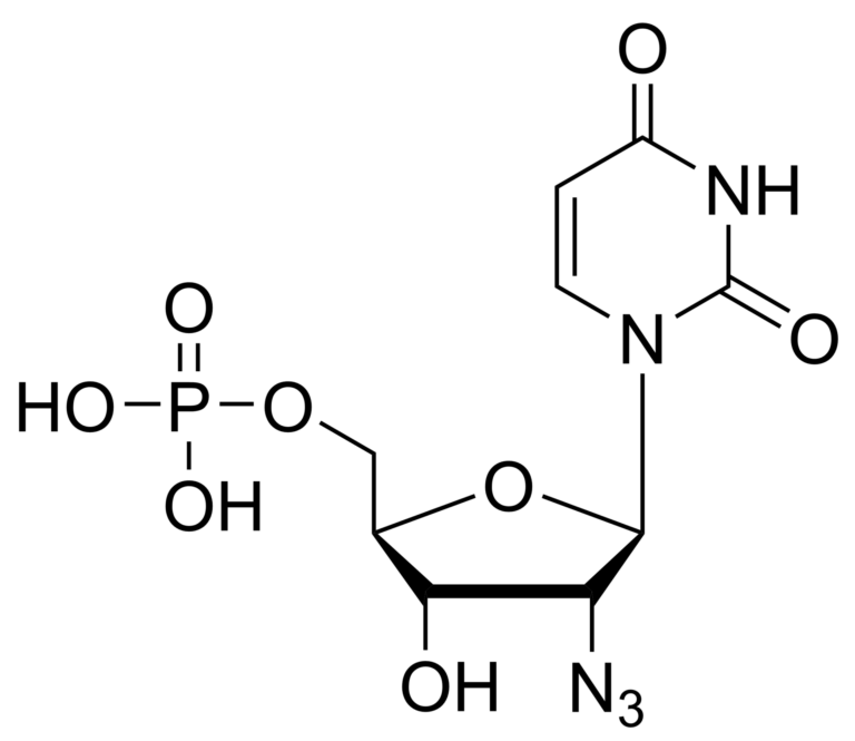 Main product photo - 2′-Azido-2′-deoxyuridine monophosphate – CAS 36792-48-0