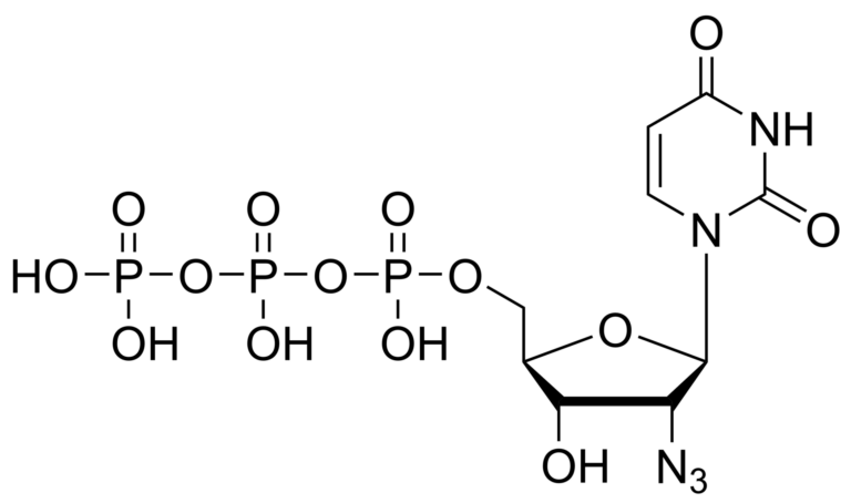 Main product photo - 2′-Azido-2′-deoxyuridine triphosphate – CAS 106448-30-0