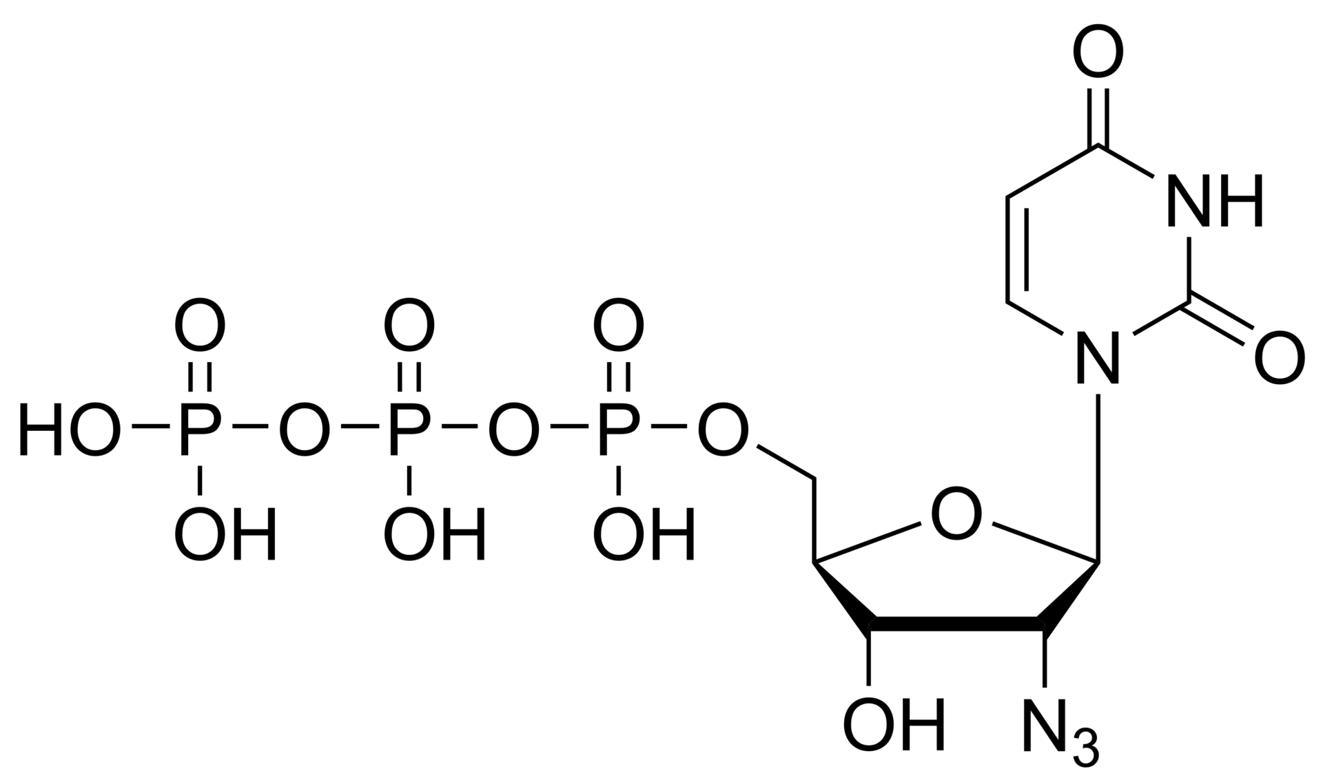 2′-Azido-2′-deoxyuridine triphosphate – CAS 106448-30-0